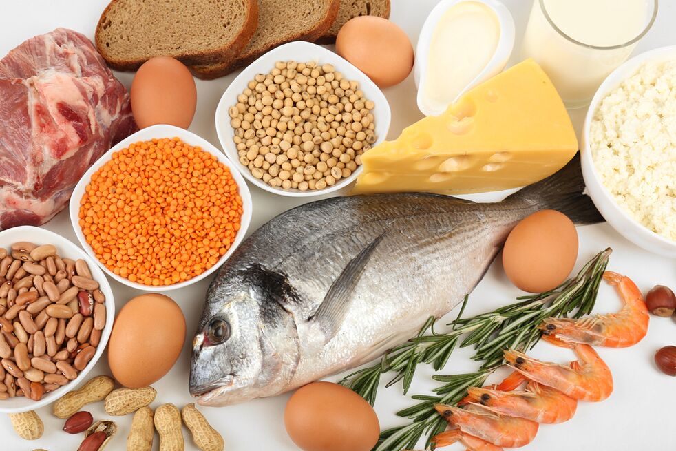 Características dunha dieta proteica